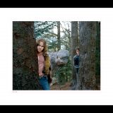 Classic Stills “Harry, Hermione & Buckbeak”