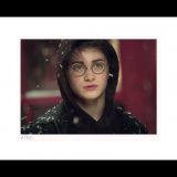 Classic Stills “Harry”