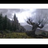 Classic Stills “The Whomping Willow”