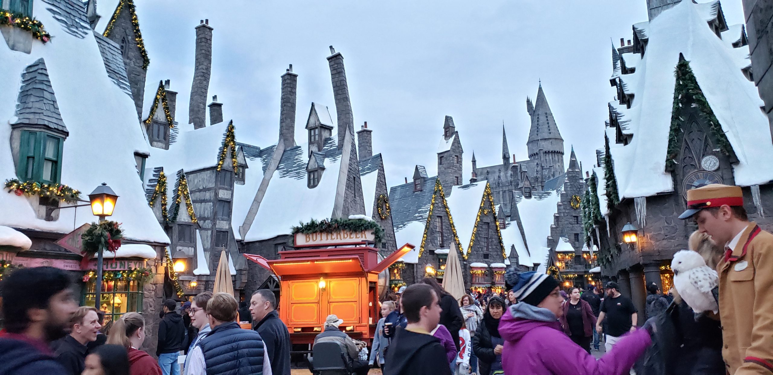 Idyllic winter scenery