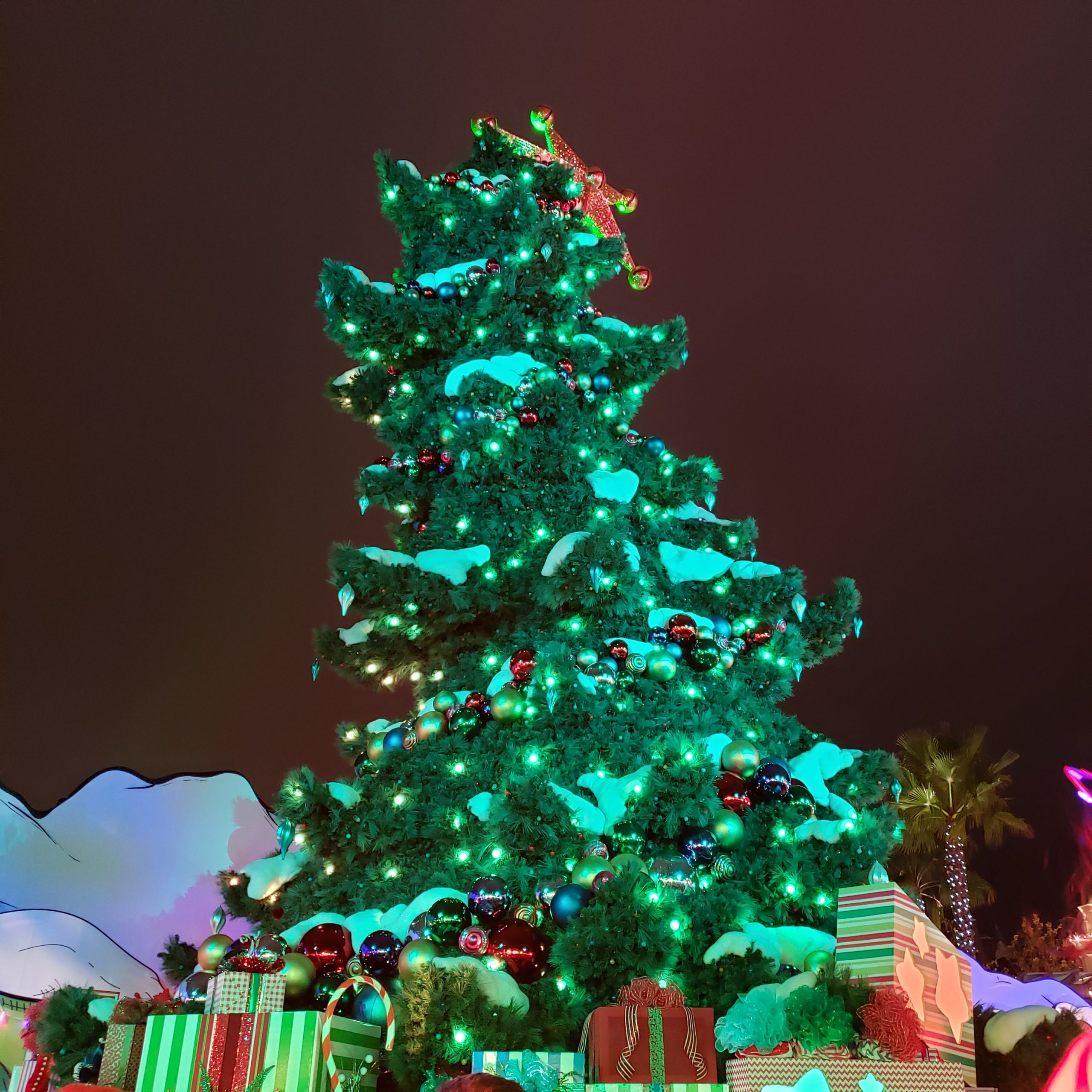 Catch the tree lighting every half hour!