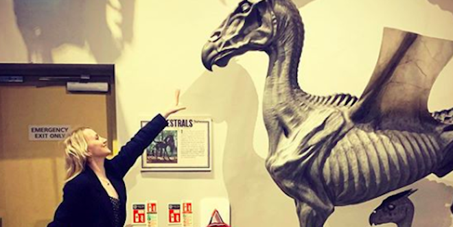 Evanna Lynch recreates a scene from "Harry Potter and the Order of the Phoenix".