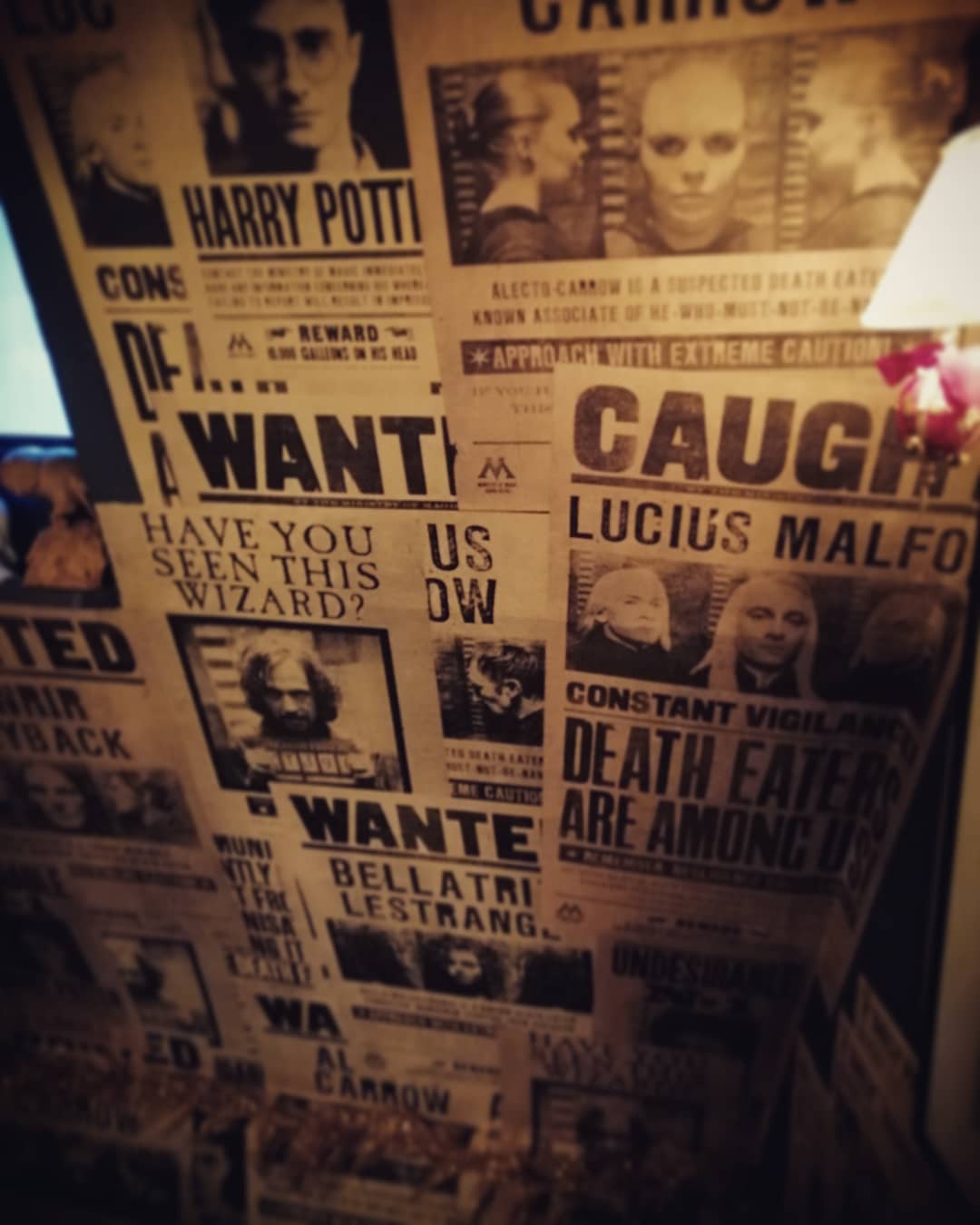 Every surface of the house is covered with prints of the “Daily Prophet” and posters familiar from the movies.