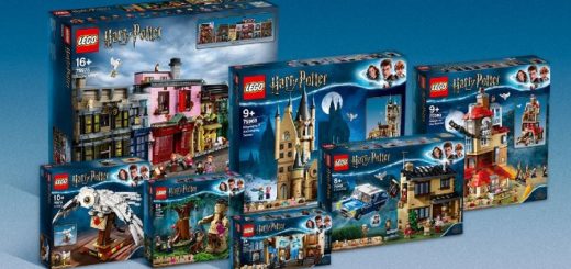 LEGO Ideas Grand Prize Winner