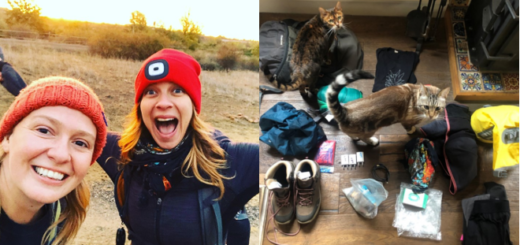 Natalia Tena (Nymphadora Tonks) begins a 720K journey along Spain's Camino del Norte to support Orchid Project.