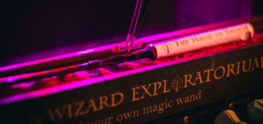 An image showing the Magical Wand Experience at the Wands and Wizards Exploratorium.