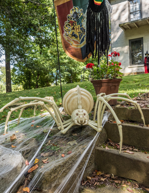 Farewell, Aragog. (Steve Geis/Janet Richard/Facebook)