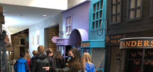 Diagon Alley display