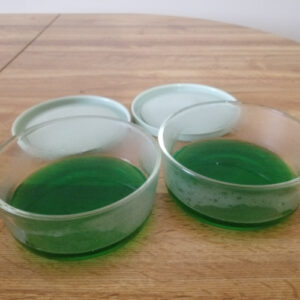 Jello Bowls