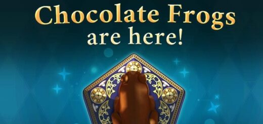 HP HM Chocolate Frogs