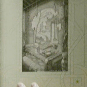 Liu Tao in phoenix book