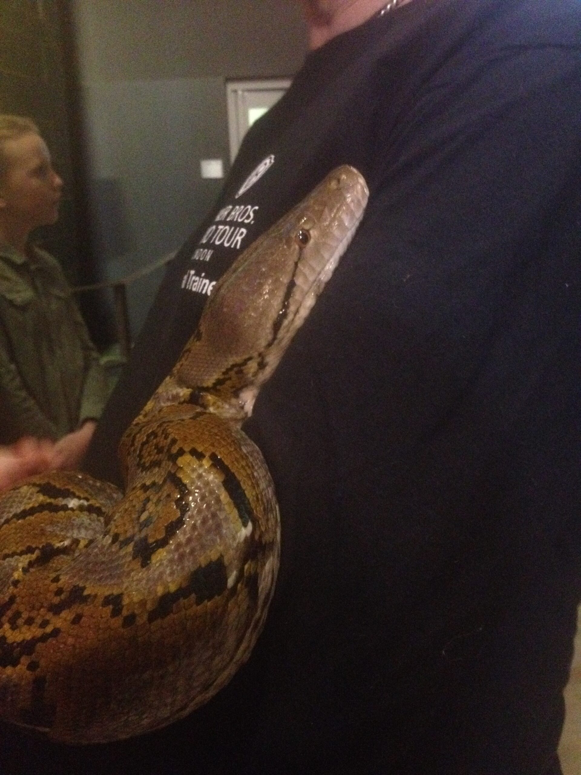 Warner Bros. Studio Tour Live Snake