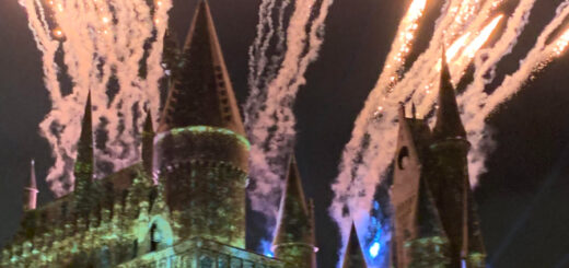 Pooja Bhatti event report