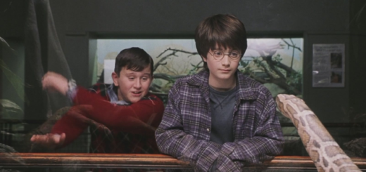 Harry and Dudley at zoo