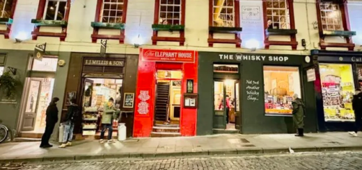 The Elephant House café in its new location on Victoria Street.