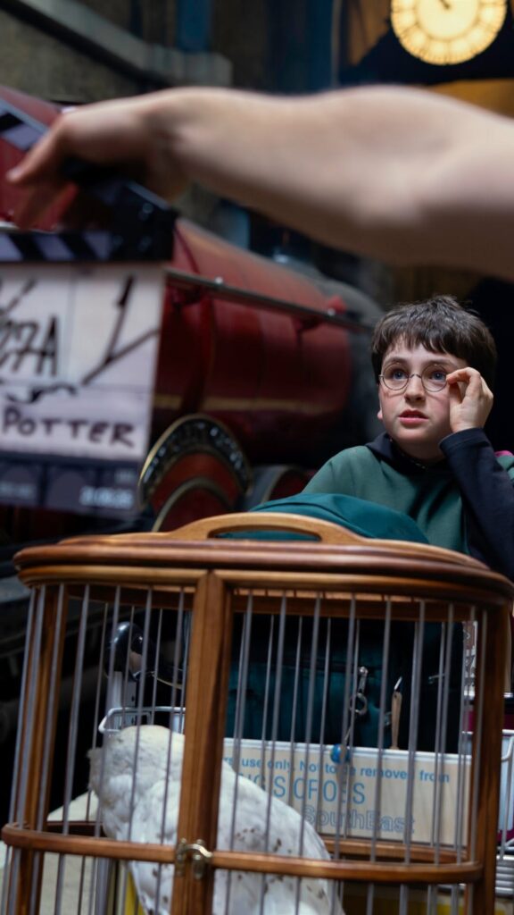 Finding Harry: The Craft Behind the Magic Trailer