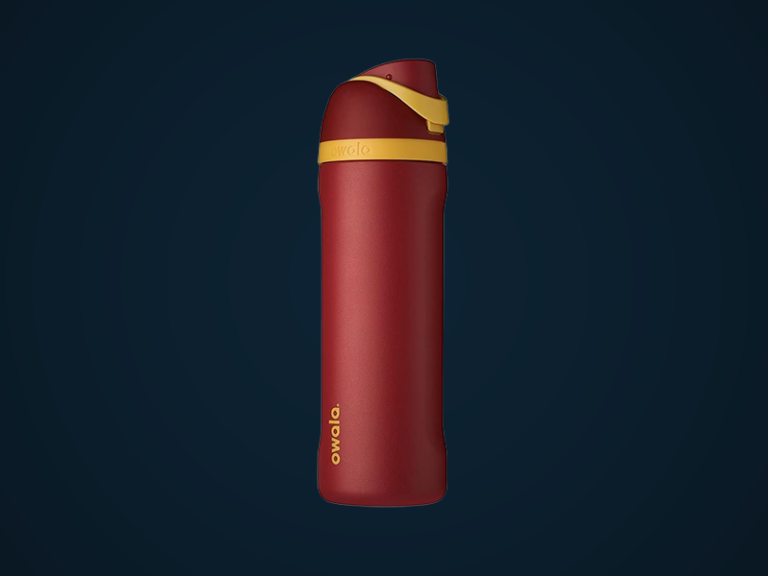 Owala Harry Potter FreeSip Insulated Stainless Steel Water Bottle