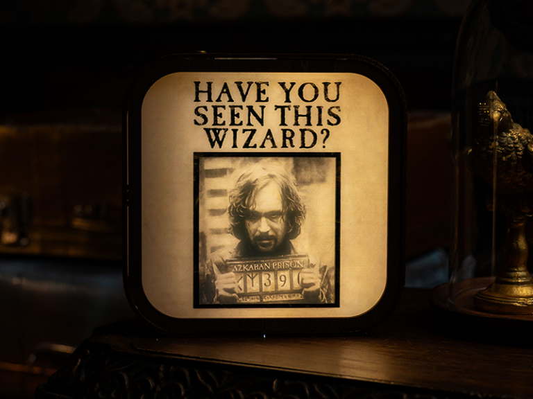 Azkaban Prisoner – Wooden Acrylic Night Light