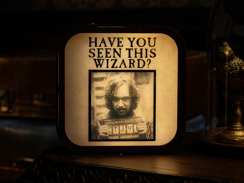 Azkaban Prisoner – Wooden Acrylic Night Light